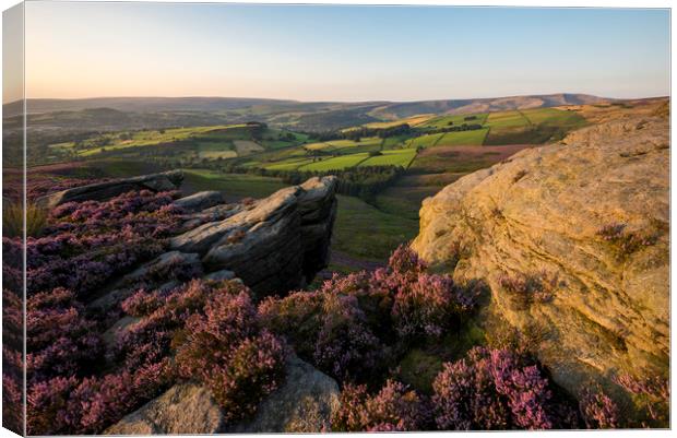 Summer colour on the moors Canvas Print by Andrew Kearton