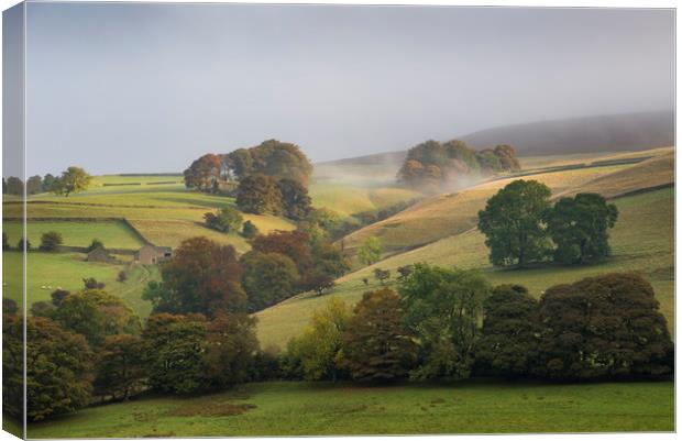 Autumnal hillside in the Derwent valley Canvas Print by Andrew Kearton