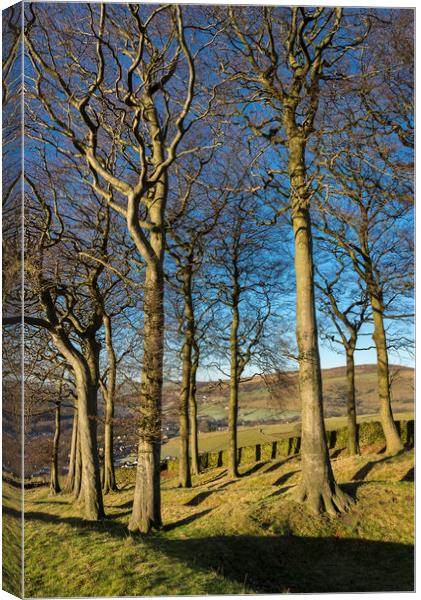 Twenty trees, Hayfield, Derbyshire Canvas Print by Andrew Kearton