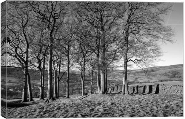 Twenty trees, Hayfield, Derbyshire Canvas Print by Andrew Kearton