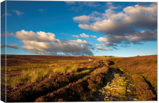 Heather blooming on moors above Hayfield Canvas Print by Andrew Kearton