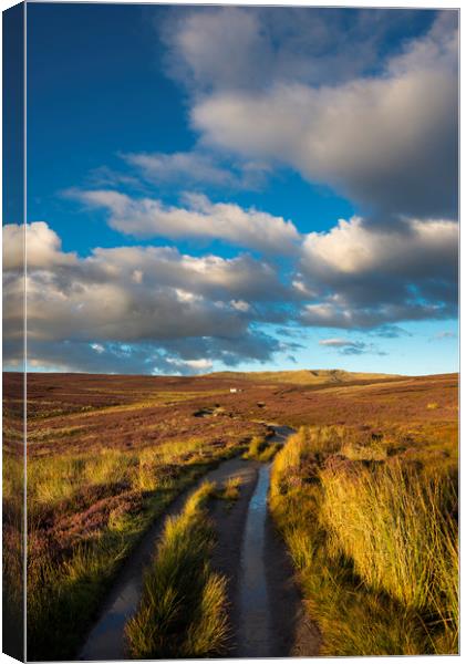 Snake path on the moors above Hayfield, Derbyshire Canvas Print by Andrew Kearton