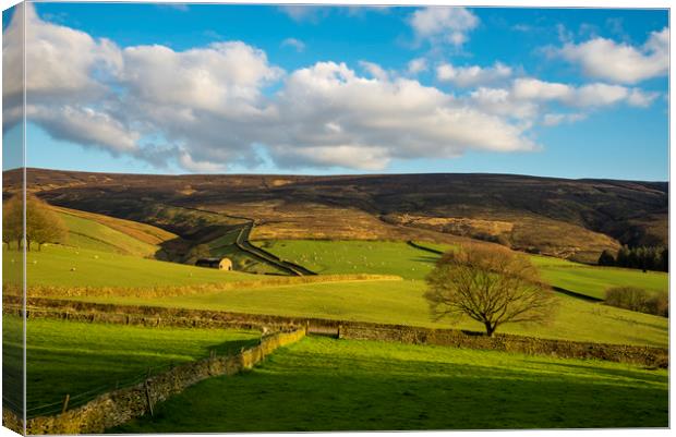 Spring evening at Moorfield, Glossop, Derbyshire Canvas Print by Andrew Kearton