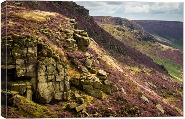 Colours of Kinder Scout Canvas Print by Andrew Kearton