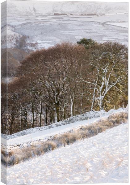 Winter in the hills of the Peak District Canvas Print by Andrew Kearton