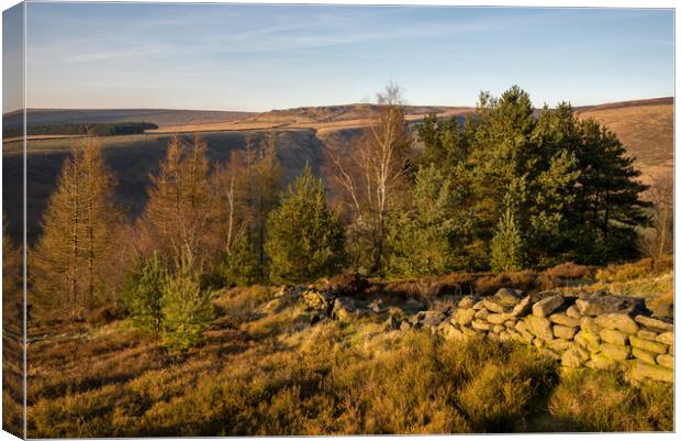 Warm sunlight at Shire Hill, Glossop, Derbyshire Canvas Print by Andrew Kearton