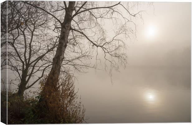 Tranquil winter morning Canvas Print by Andrew Kearton