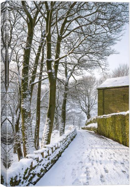 Coldwell Clough, Hayfield, Derbyshire Canvas Print by Andrew Kearton