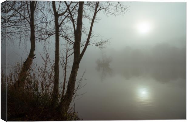 Misty autumn morning by the lake Canvas Print by Andrew Kearton
