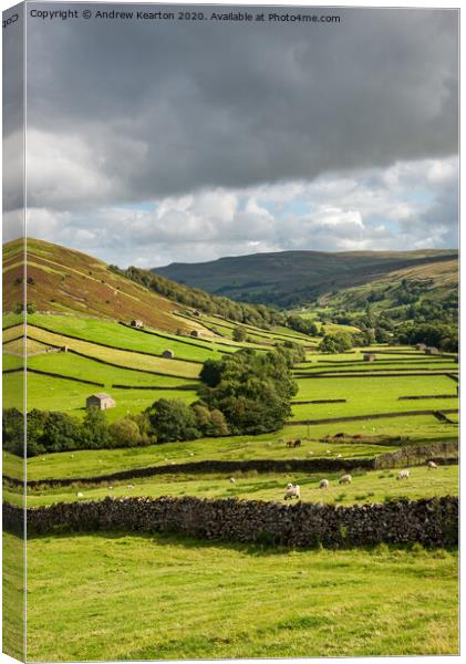 Upper Swaledale, Yorkshire Dales Canvas Print by Andrew Kearton