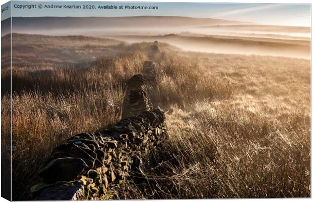 Mist and spider webs on the Pennine moors  Canvas Print by Andrew Kearton