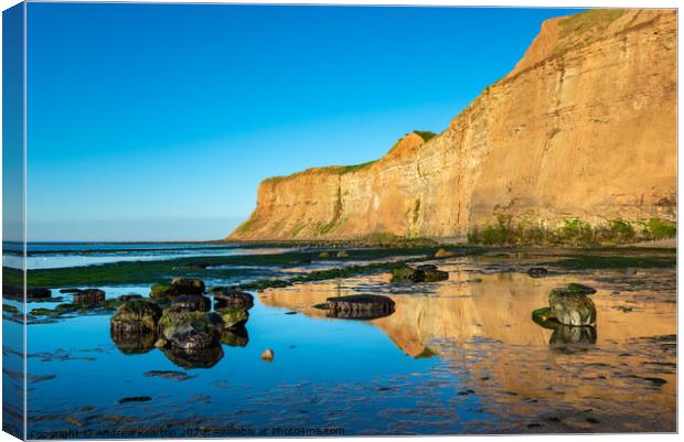 Huntcliff, Saltburn-by-the-sea, North Yorkshire Canvas Print by Andrew Kearton