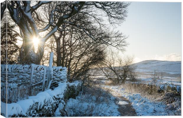 Path to Lantern Pike on a winter morning Canvas Print by Andrew Kearton