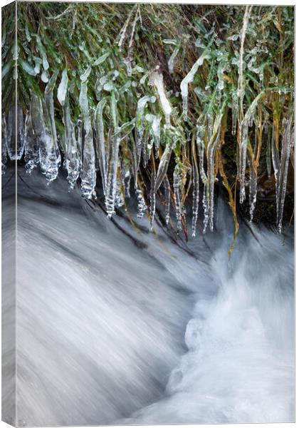 Icicles hanging over a moorland stream Canvas Print by Andrew Kearton