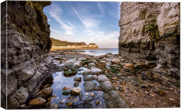 Thornwick Bay, North Yorkshire Canvas Print by Andrew Kearton