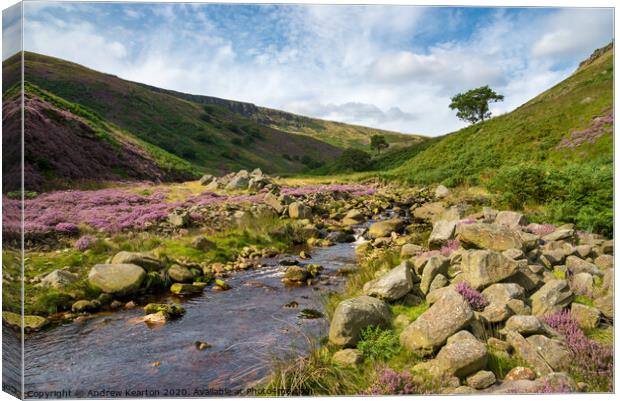 Crowden Brook, Derbyshire, England Canvas Print by Andrew Kearton