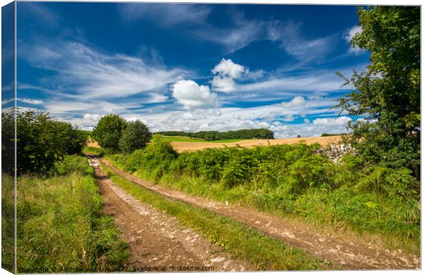 English countryside on a glorious summer day Canvas Print by Andrew Kearton