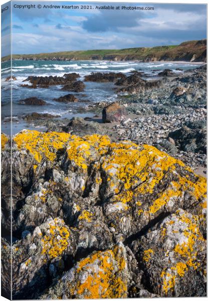 Penllech beach, Llyn Peninsula, North Wales Canvas Print by Andrew Kearton