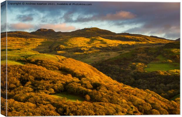 Autumn colour in hills near Harlech, North Wales Canvas Print by Andrew Kearton