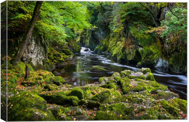 Fairy Glen, Betws-y-Coed, North Wales Canvas Print by Andrew Kearton