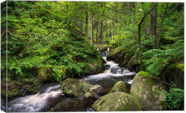 Wyming Brook nature reserve, Sheffield, Yorkshire Canvas Print by Andrew Kearton