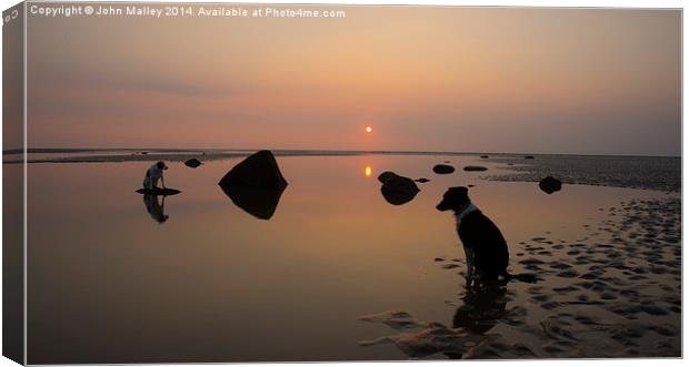  Awaiting the Master's Voice Canvas Print by John Malley