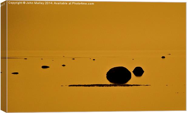  Shimmering Yellows Canvas Print by John Malley