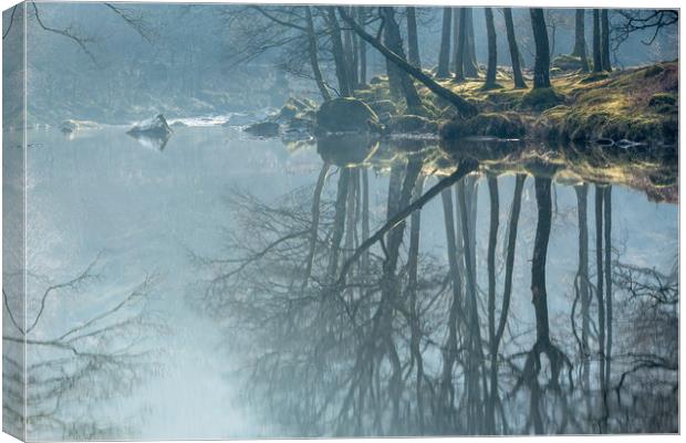 Long Tall Reflections Canvas Print by John Malley