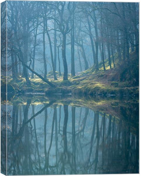 Moods by the River Canvas Print by John Malley