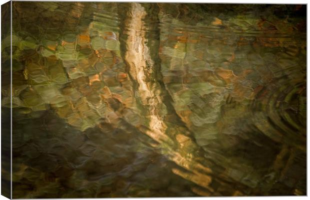 Flow in Motion Canvas Print by John Malley