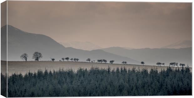 A Line Up Canvas Print by John Malley