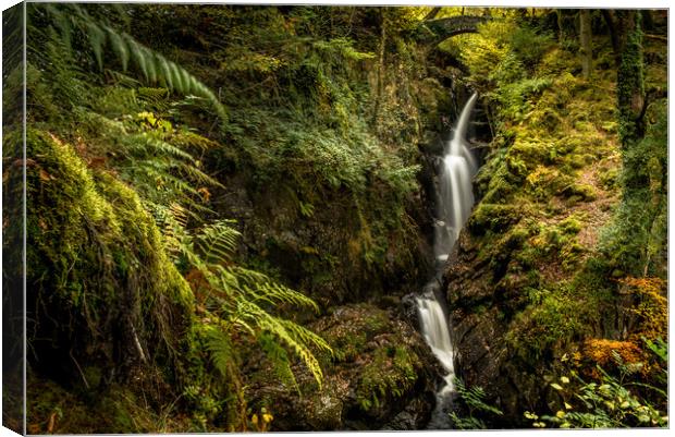 Aira Force Waterfall Canvas Print by John Malley