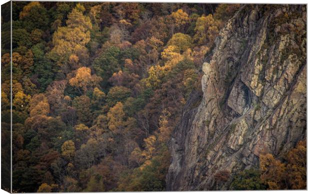 Troutdale Pinnacle in Borrowdale Canvas Print by John Malley