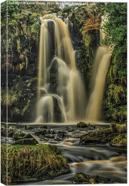 Waterfall at Bolton Abbey Yorkshire Canvas Print by David Oxtaby  ARPS