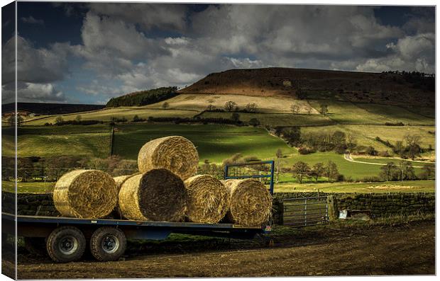 Hay Bales Canvas Print by David Oxtaby  ARPS