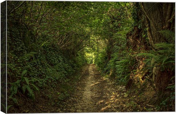  Light at the end of the tunnel Canvas Print by David Oxtaby  ARPS