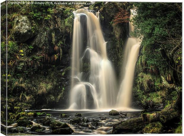 Valley of Desolation Waterfall Canvas Print by David Oxtaby  ARPS