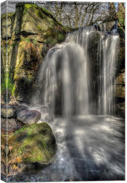  Lumsdale Waterfall Canvas Print by David Oxtaby  ARPS