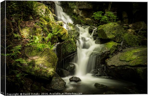 Lumsdale Falls Canvas Print by David Oxtaby  ARPS