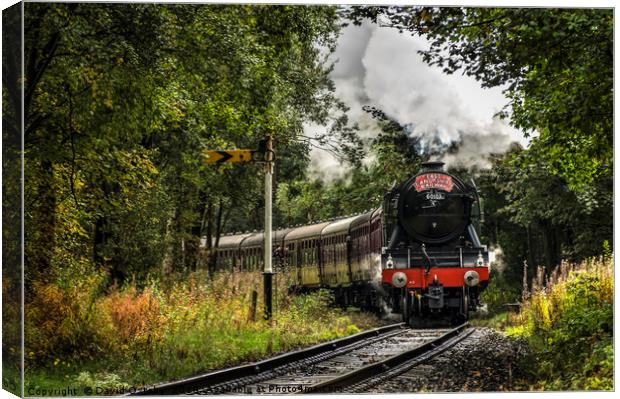 Scotsman heading through the signal Canvas Print by David Oxtaby  ARPS