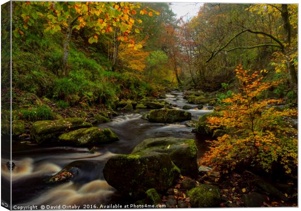 River through Hardcastle Crags Canvas Print by David Oxtaby  ARPS