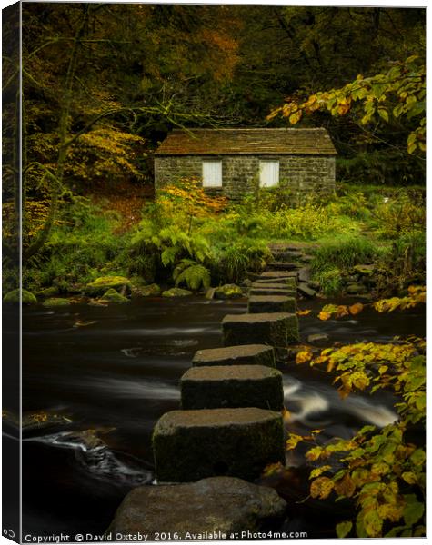 Across the stepping stones Canvas Print by David Oxtaby  ARPS