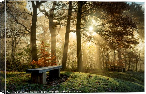 bench at St Ives in the mist Canvas Print by David Oxtaby  ARPS