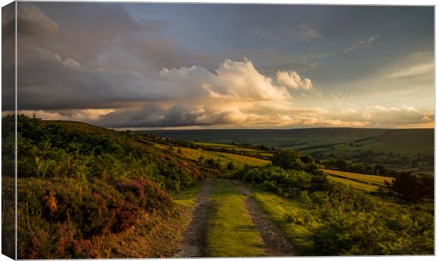 Fryupdale Sunset Canvas Print by David Oxtaby  ARPS