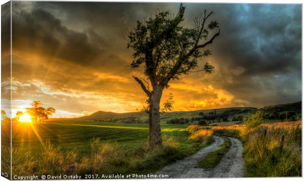 Sun setting over Embsay Canvas Print by David Oxtaby  ARPS