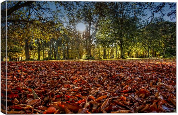 					 fallen leaves Canvas Print by stephen king