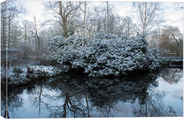  reflections of a winters day  Canvas Print by stephen king