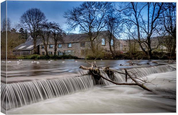  The weir  Canvas Print by stephen king