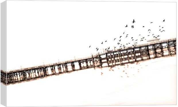  Blanco Pier Canvas Print by Mark Cummins