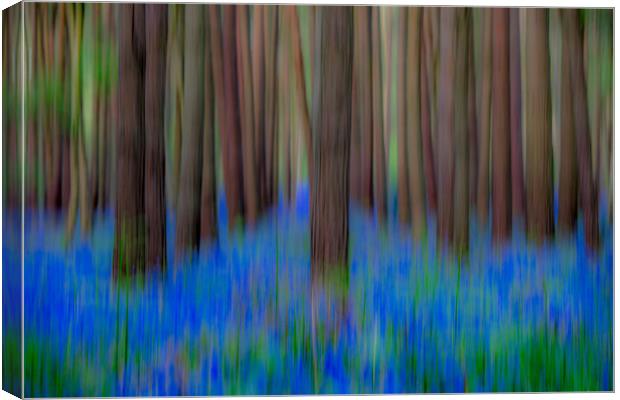 Blue Bell art ICM (Intentional Camera Movement) Canvas Print by Jonathan Smith